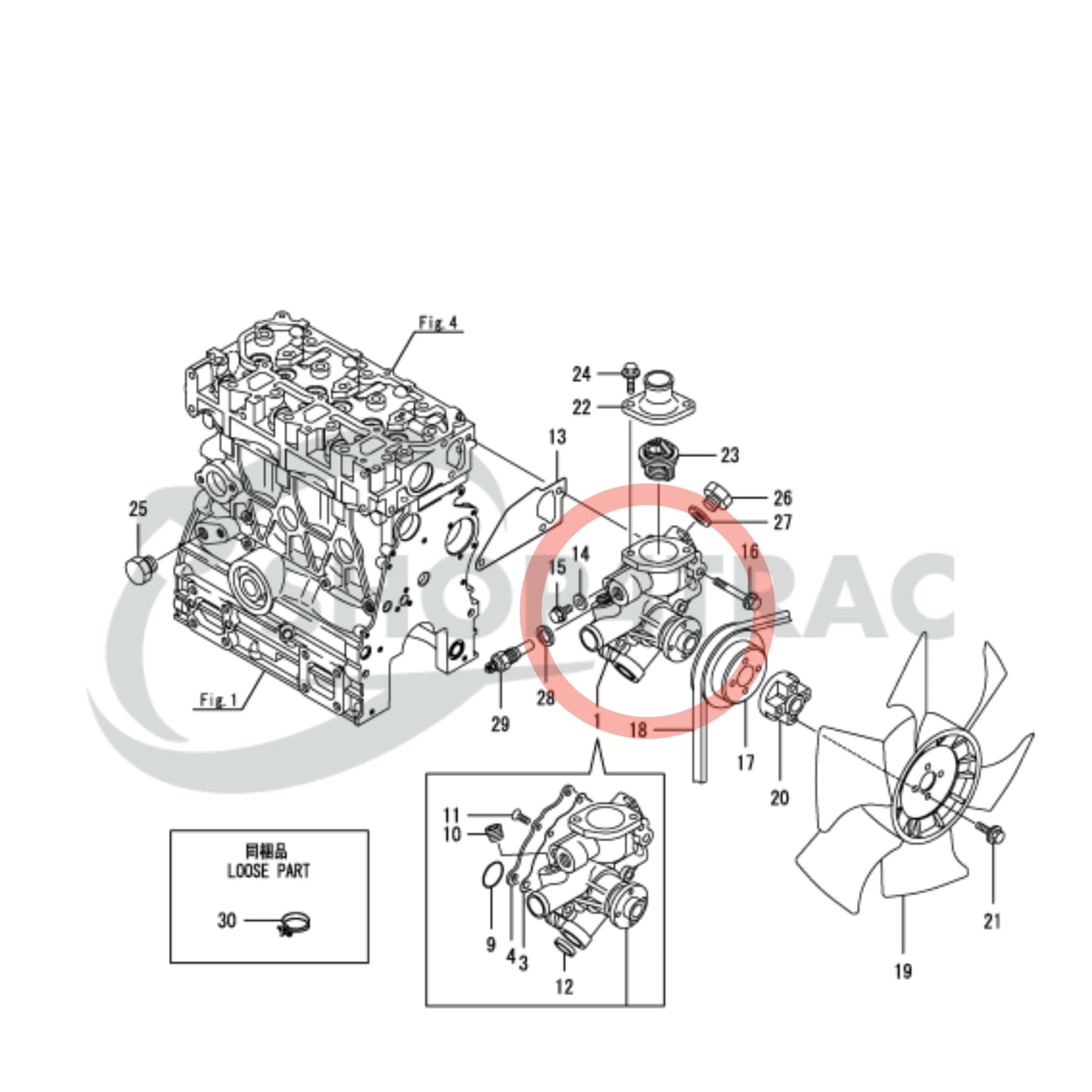 Waterpomp Yanmar 3TNA76 | 3TNV76 | 3TNV76-KW | 3D76 Komatsu | 3TNV76-XMR | Wacker Neuson E12-02 | E12-04 - 2